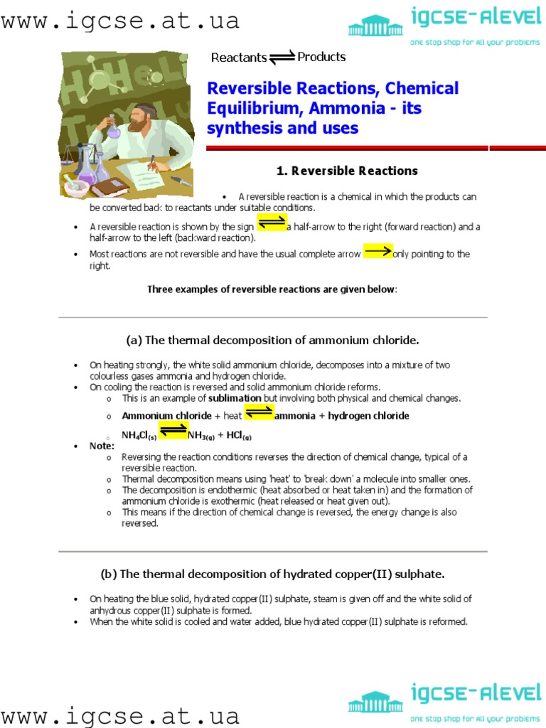Reversible Reactions and Equilibrium Examples | PDF | Chemical ...