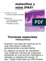 Dermatopatologia y Tinciones