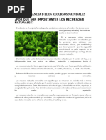 Importancia de Los Recursos Naturales en La Agricultura