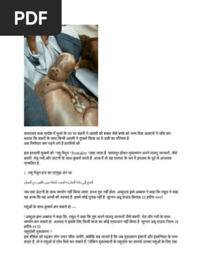 BloodRayne Sex filmidan parcha