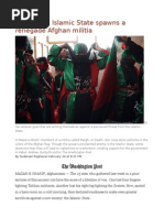 Fear of the Islamic State Spawns a Renegade Afghan Militia
