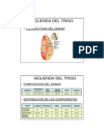 Molienda Trigo