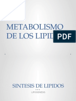 Metabolismo de Los Lipidos