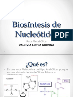 Biosíntesis de Nucleótidos