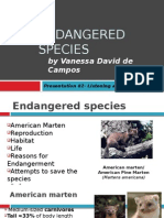 Endangered Species: by Vanessa David de Campos