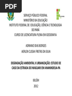 Tcc Apresentação Em PDF