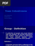 Group Cohesiveness