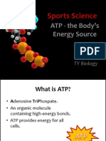 02 - Energy Production - Atp Web