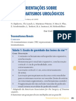 Traumatismos-Urologicos.pdf