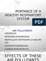 The Importance of A Healthy Respiratory System