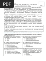 Evaluación GLOBAL Ciencias Naturales Cuarto Básico