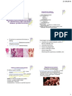 Diagnostic Infectii Satafilo- Streptococice