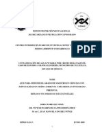 Tesis de Cromo en El Estado de México (Cromatos) .Unlocked