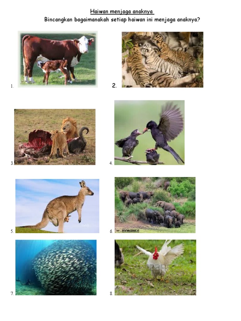 Sains Tahun 5 Kemandirian Spesies Lembaran Kerja Pdf