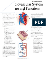 Cardiovascular Article