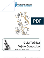 4 - El Tejido Conectivo