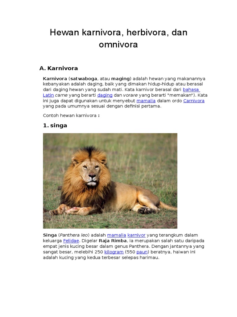 1050+ Gambar Binatang Karnivora Herbivora Dan Omnivora Terbaru