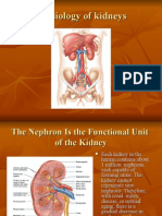 Physiology of The Renal System
