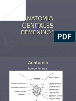 Anatomia Genitales Femeninos 07
