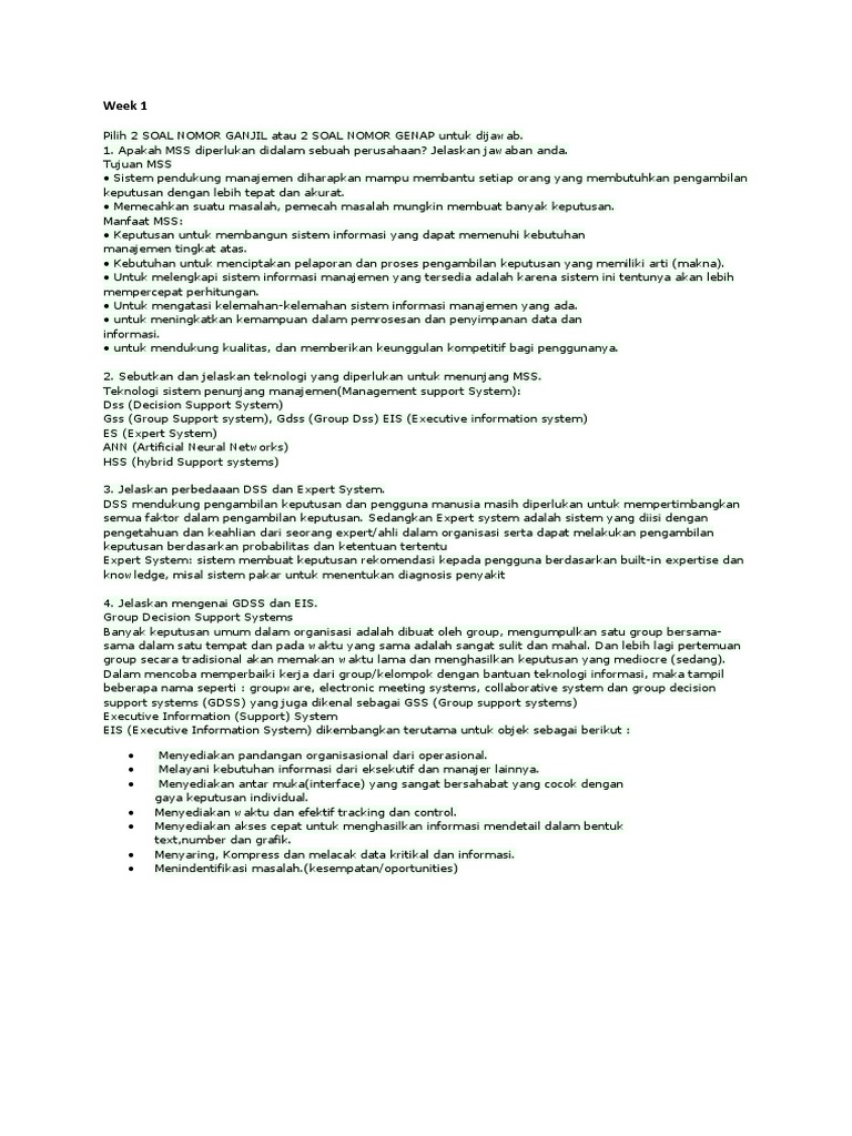 Management Support System PDF | PDF