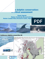 Bottlenose Dolphin Conservation