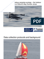 Harbour Porpoise Ecology