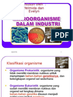 02.mikroorganisme DLM Industri