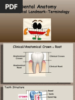 Dental Tooth Numbering Systems Explained | PDF | Dentistry | Dental Anatomy