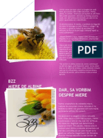 BZZ Presentation