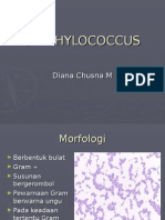 STAPHYLOCOCCUS.ppt