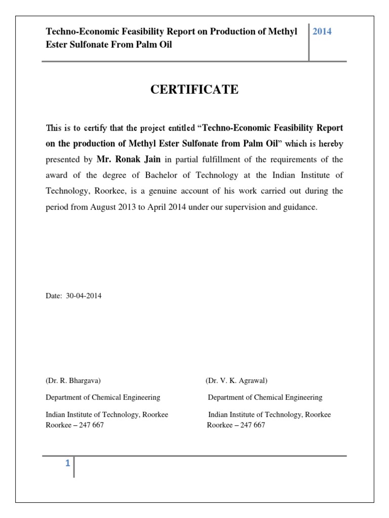 Techno-Economic Feasibility Report On Production of Methyl Ester Sulfonate  From Palm Oil | PDF | Chemical Reactor | Ester