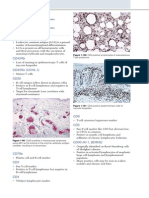 Hematopoietic Markers: Chromogranin Synaptophysin