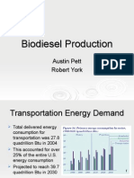 Biodiesel Production