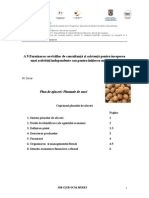 plan_afaceri_nuci.pdf