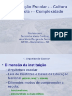 2 Organização Escolar Cultura Complexidade TÊ