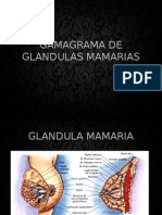 Gamagrama de Glandulas Mamarias