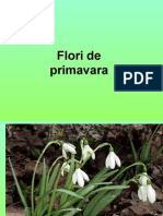 2 Flori de Primavara