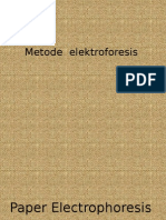 Metode Elektroforesis