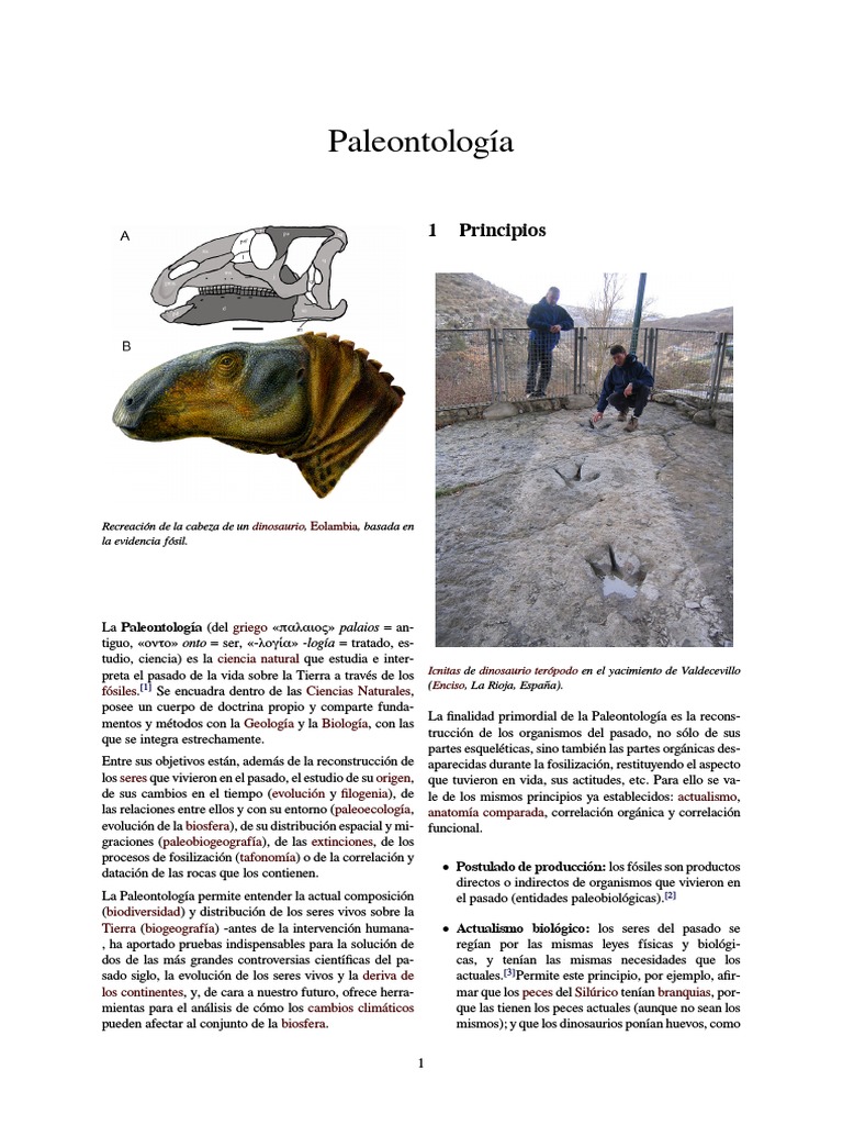 Teoria de la paleontologia_teorias