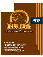 Proyecto de Inversion NUNA