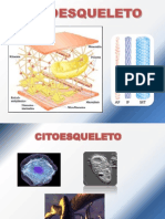 Citoesqueleto PDF