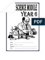 Peka SC Year 6 PDF
