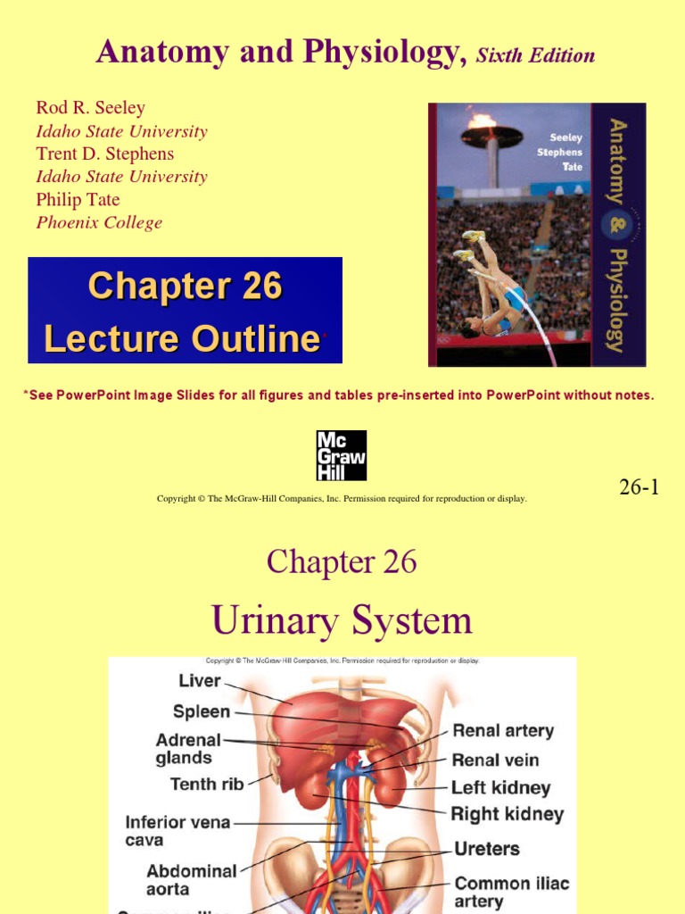 Human anatomy and physiology notes picture