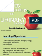 Anatomyandphysiologyofurinarysystem 110509111246 Phpapp02