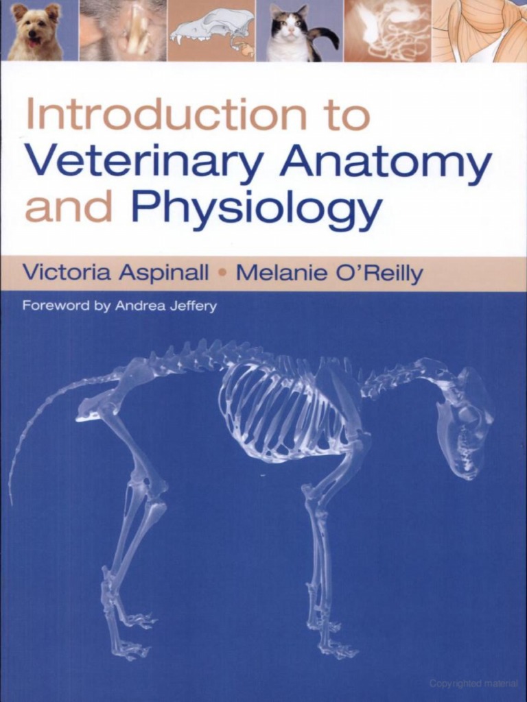 Introduction To Veterinary Anatomy and Physiology PDF