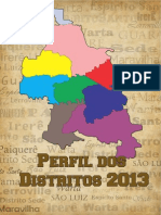 Perfil Distritos 2013