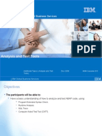 Analysis and Test Tools: IBM Global Business Services