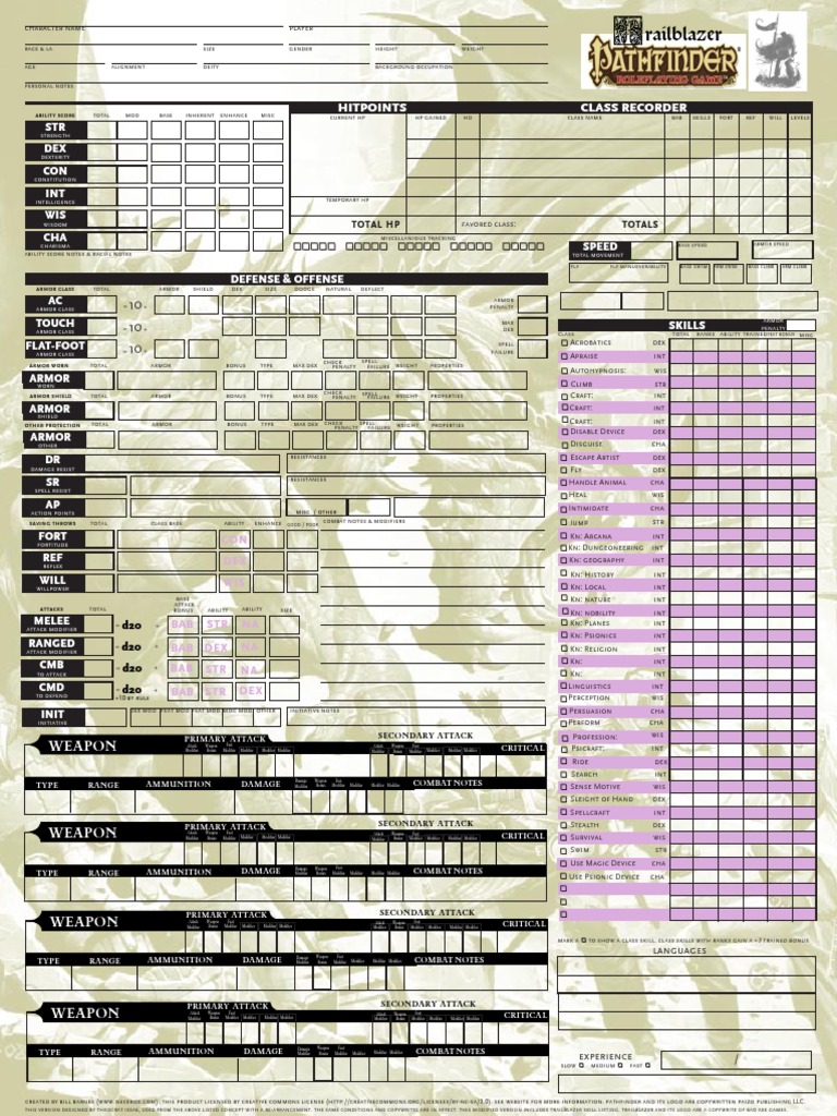 Pathfinder d20 Character Sheet Role Playing D20 System