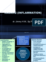 Radang (Inflammation) : Dr. Jimmy H.W., SP - PA