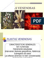 Plantas-venenosas